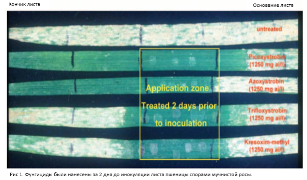 Результаты эксперимента