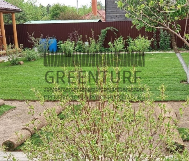 Озеленение территории в Домодедовском районе д. Сонино - фото - 2